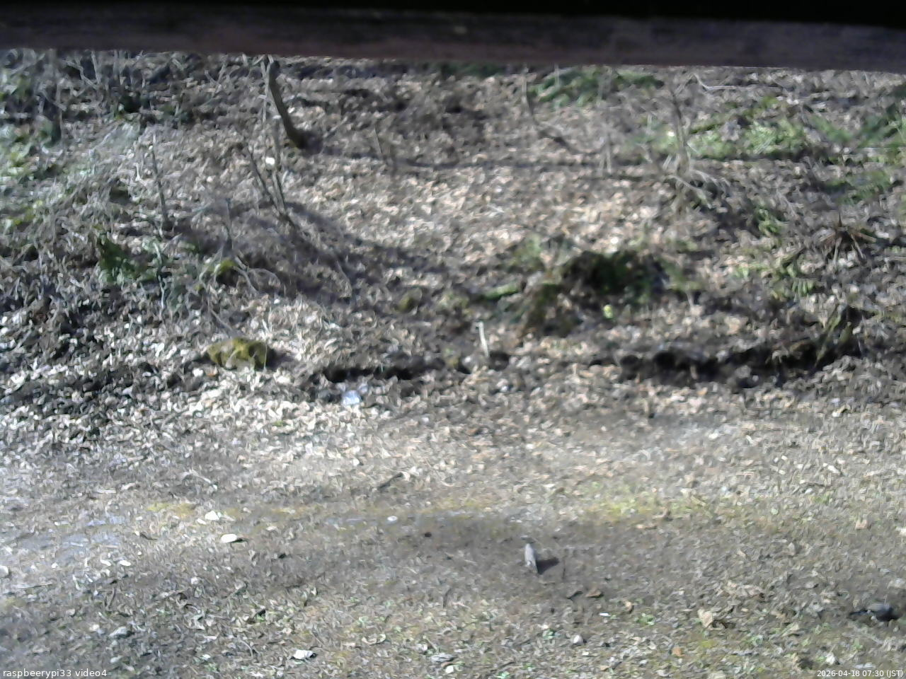 長野県菅平高原 ゆたか山荘 東側(坂下) 2026/04/18 07:30