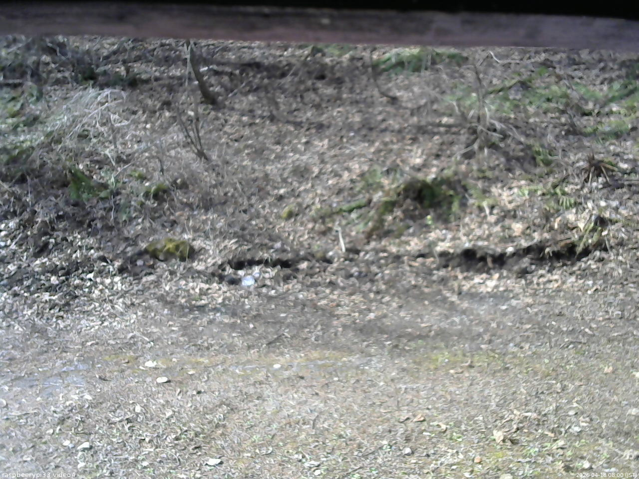長野県菅平高原 ゆたか山荘 東側(坂下) 2026/04/18 08:00