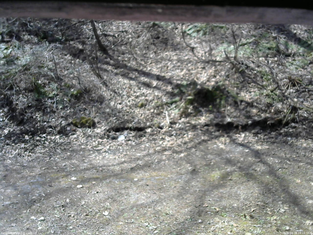 長野県菅平高原 ゆたか山荘 東側(坂下) 2026/04/18 09:15