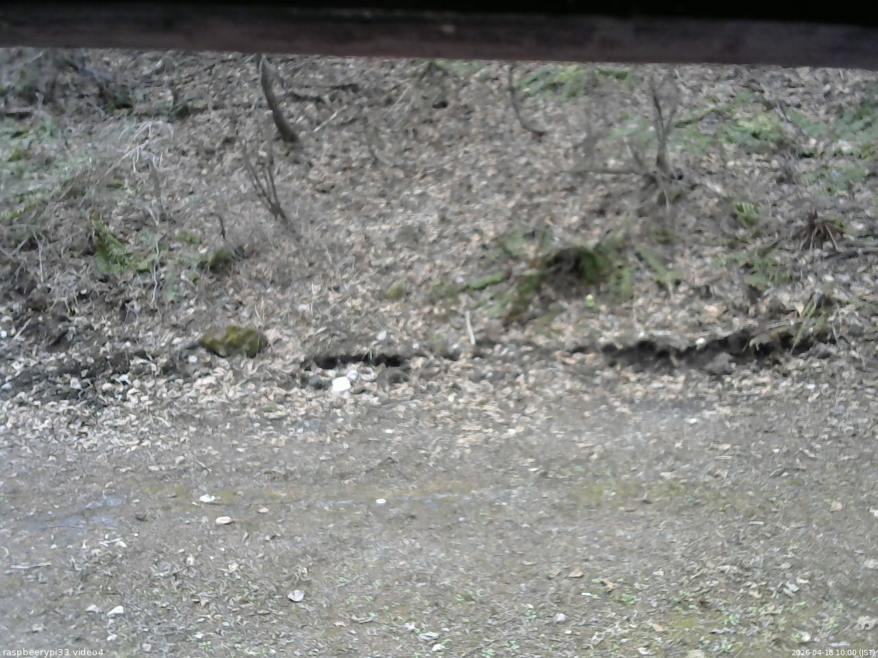 長野県菅平高原 ゆたか山荘 東側(坂下) 2026/04/18 10:00