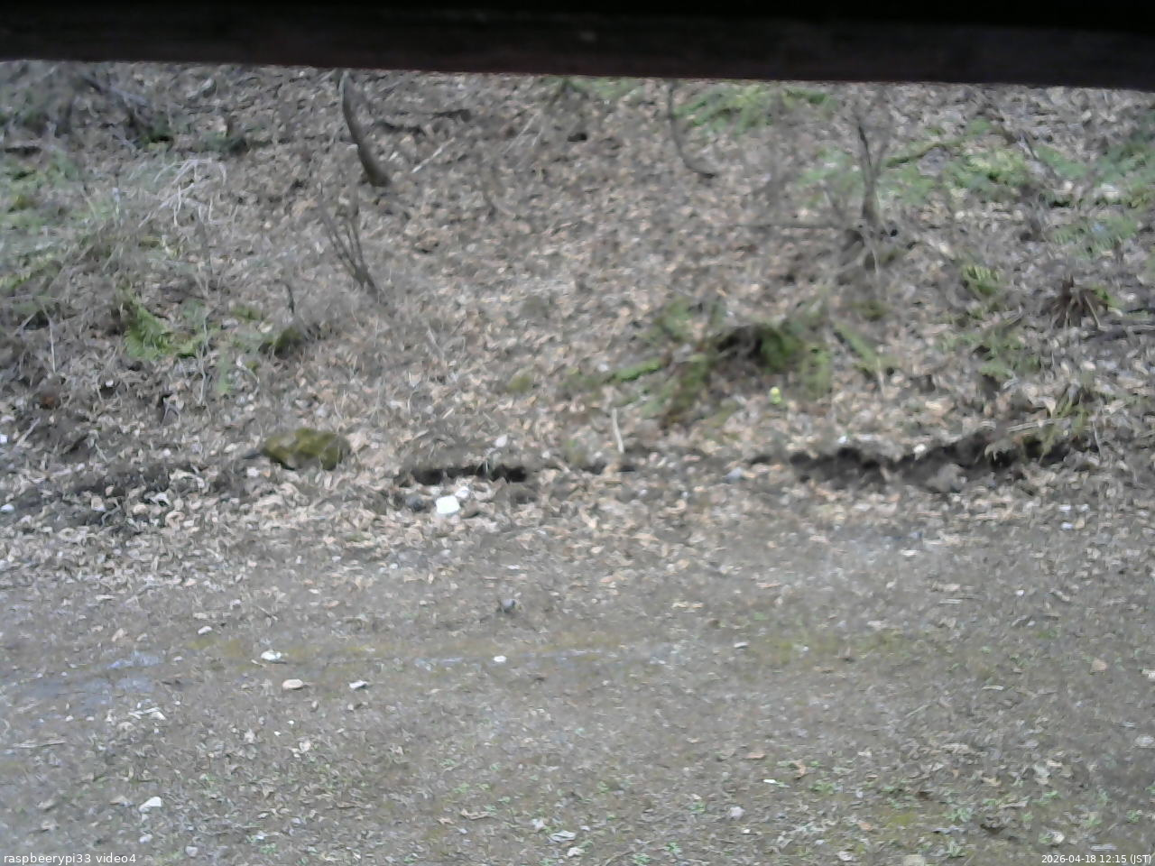 長野県菅平高原 ゆたか山荘 東側(坂下) 2026/04/18 12:15