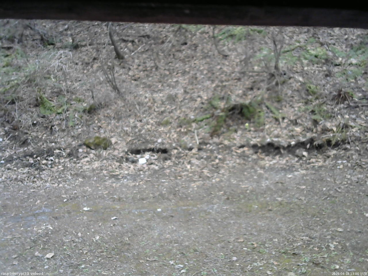 長野県菅平高原 ゆたか山荘 東側(坂下) 2026/04/18 13:00