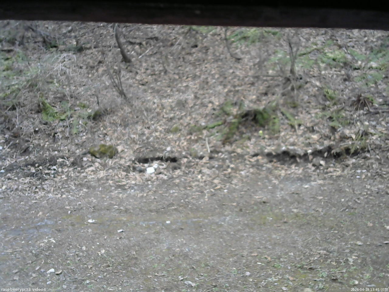 長野県菅平高原 ゆたか山荘 東側(坂下) 2026/04/18 13:45
