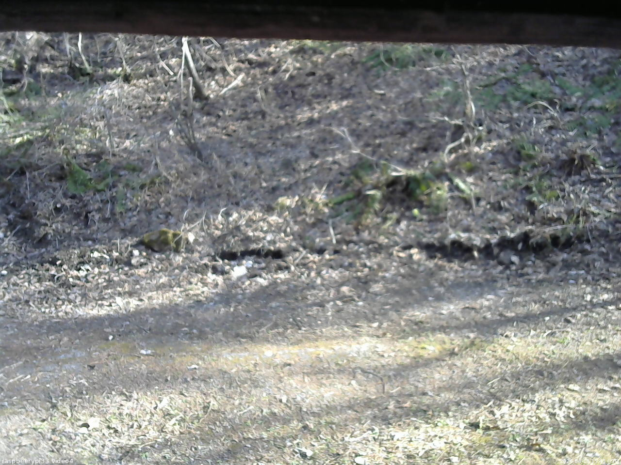 長野県菅平高原 ゆたか山荘 東側(坂下) 2026/04/18 15:45