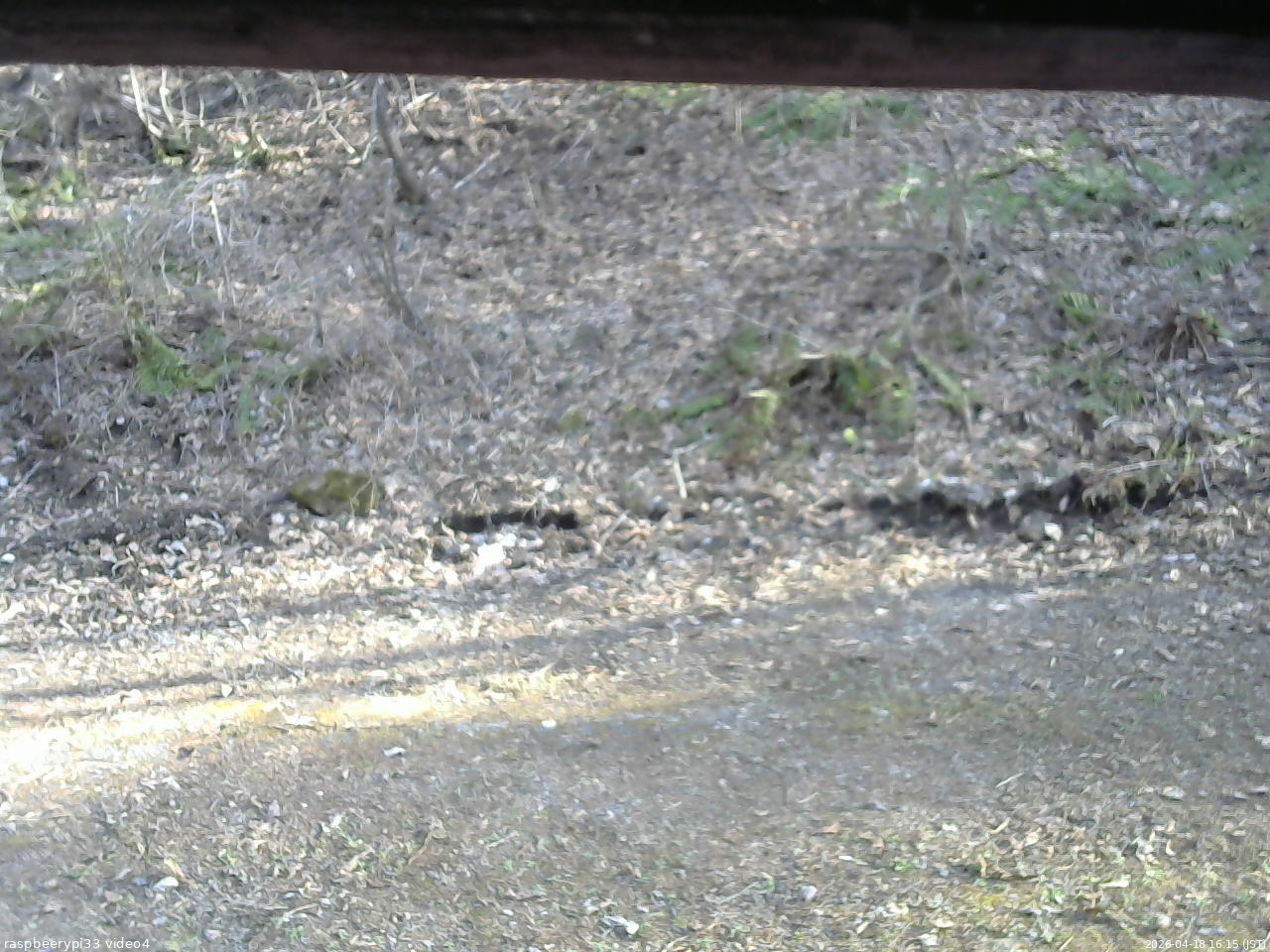 長野県菅平高原 ゆたか山荘 東側(坂下) 2026/04/18 16:15