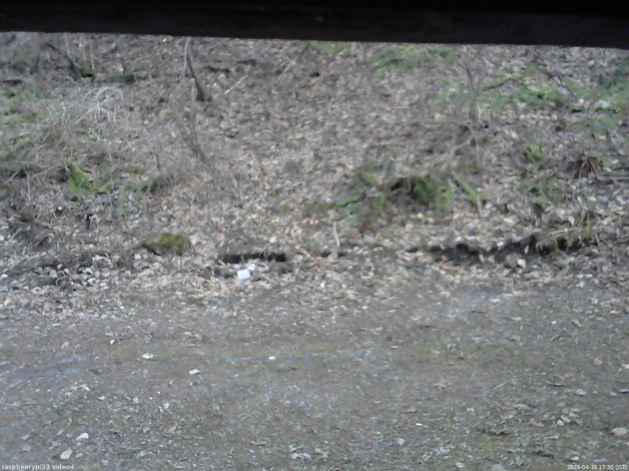 長野県菅平高原 ゆたか山荘 東側(坂下) 2026/04/18 17:30