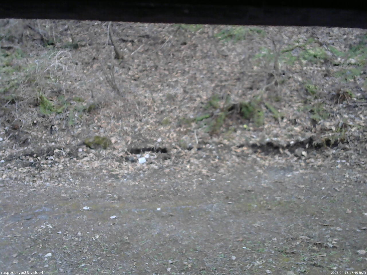 長野県菅平高原 ゆたか山荘 東側(坂下) 2026/04/18 17:45