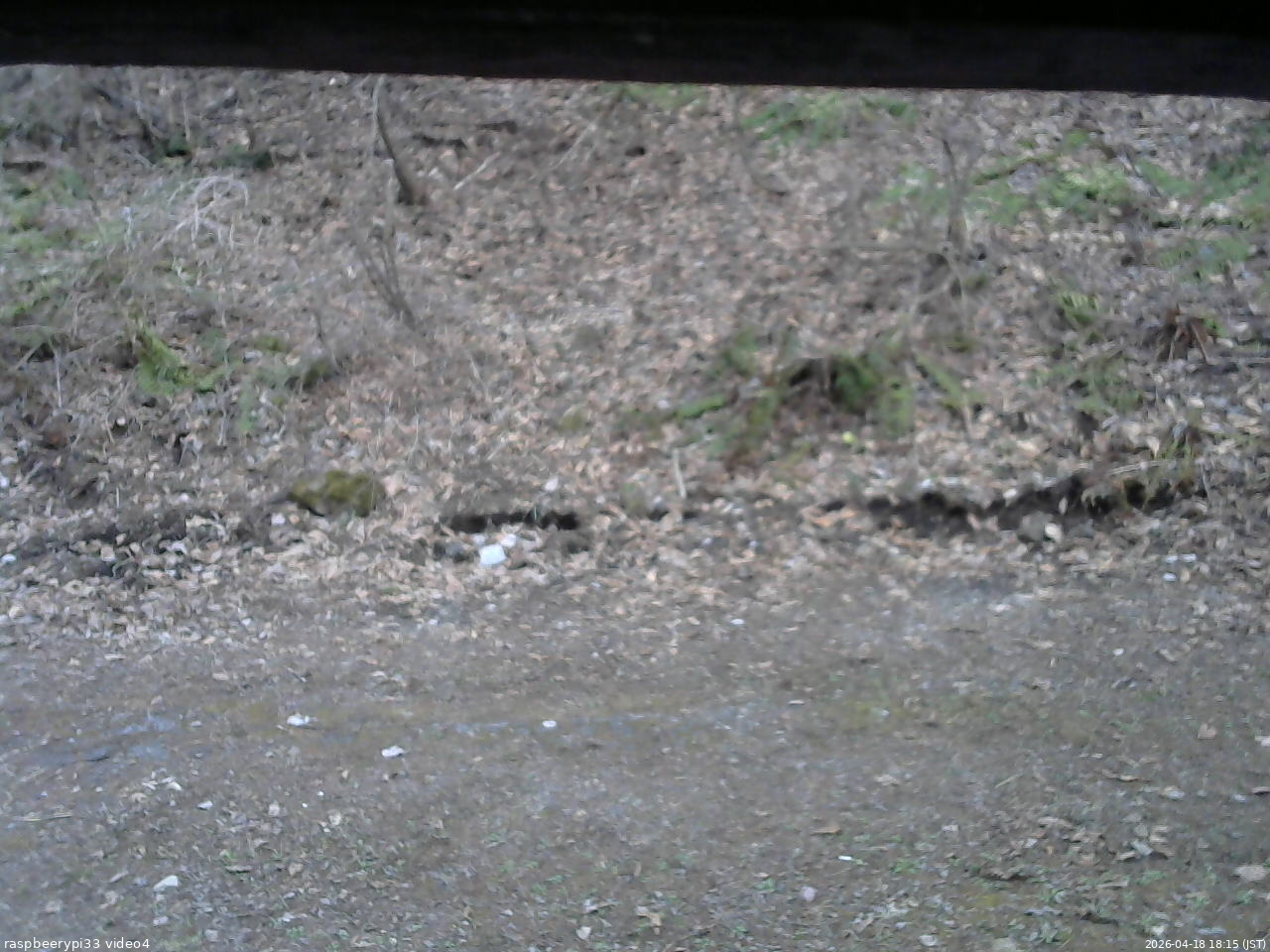 長野県菅平高原 ゆたか山荘 東側(坂下) 2026/04/18 18:15