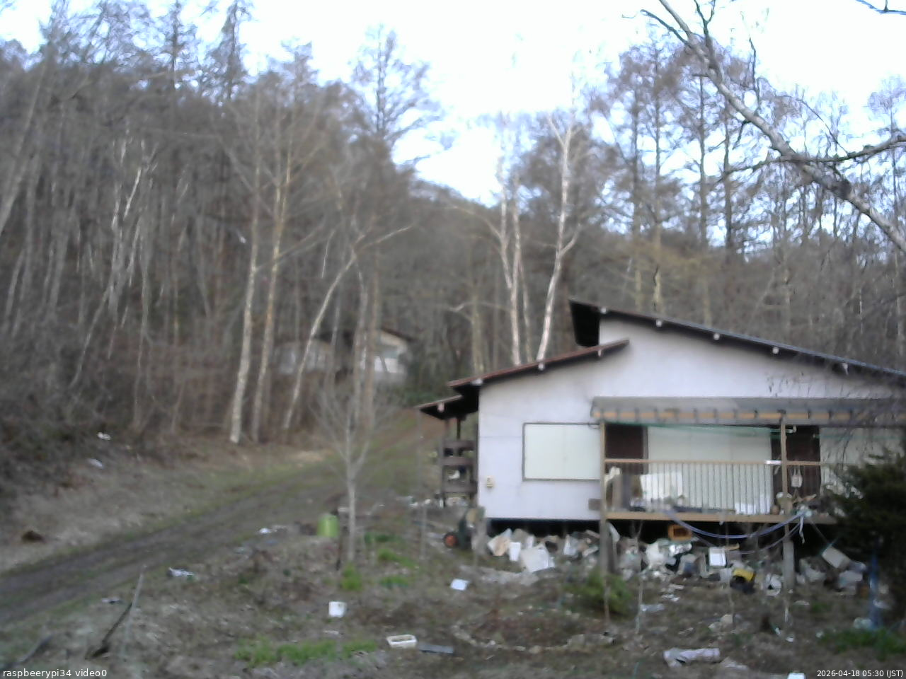 長野県菅平高原 ゆたか山荘 西側(坂上) 2026/04/18 05:30