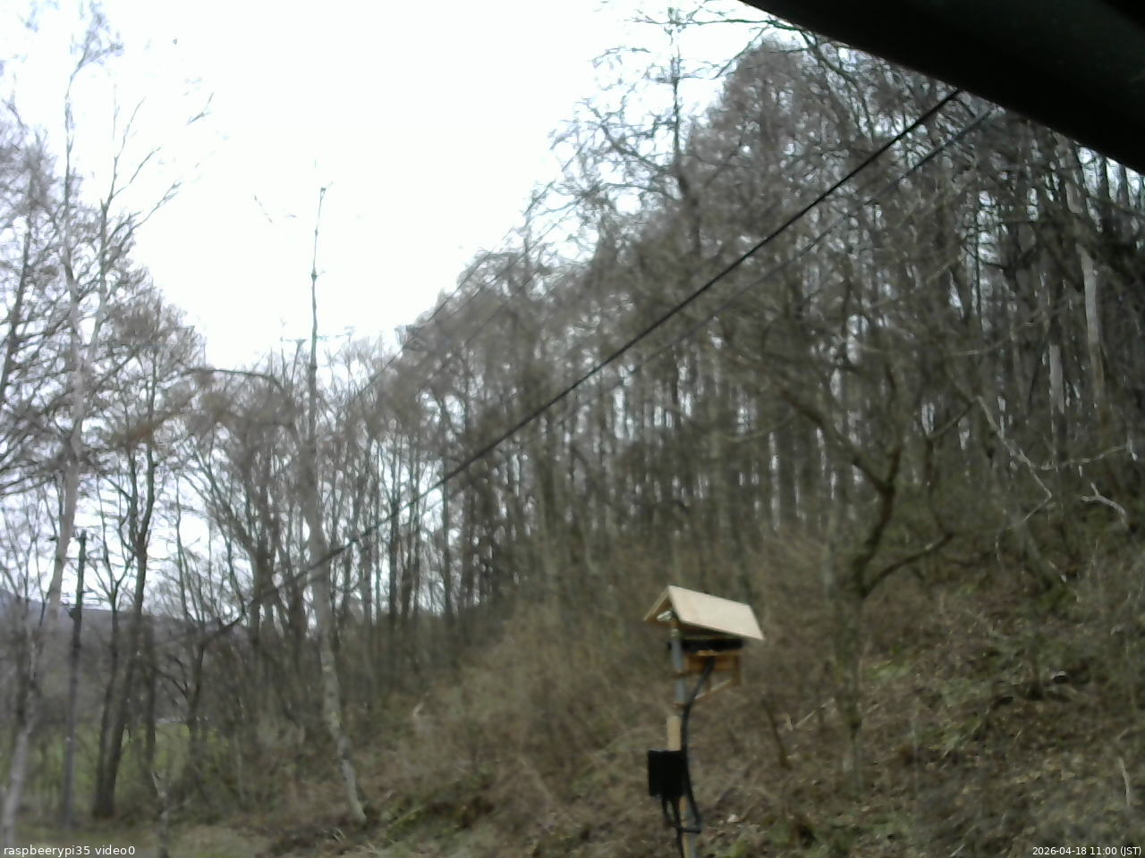 長野県菅平高原 ゆたか山荘 温度計 2026/04/18 11:00
