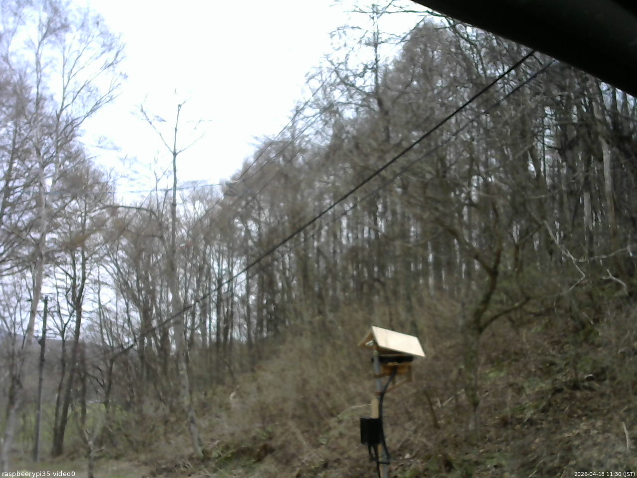 長野県菅平高原 ゆたか山荘 温度計 2026/04/18 11:30