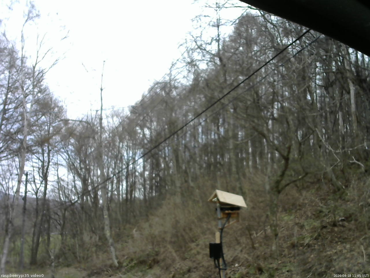 長野県菅平高原 ゆたか山荘 温度計 2026/04/18 11:45