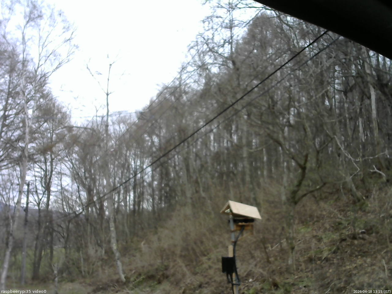 長野県菅平高原 ゆたか山荘 温度計 2026/04/18 13:15