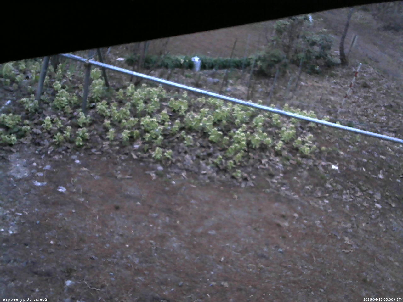 長野県菅平高原 ゆたか山荘 駐車場 2026/04/18 05:00