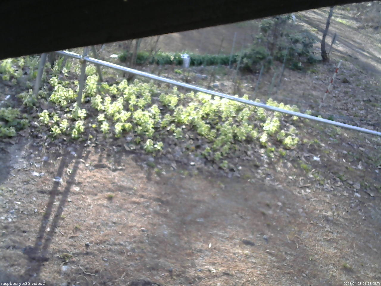 長野県菅平高原 ゆたか山荘 駐車場 2026/04/18 06:15