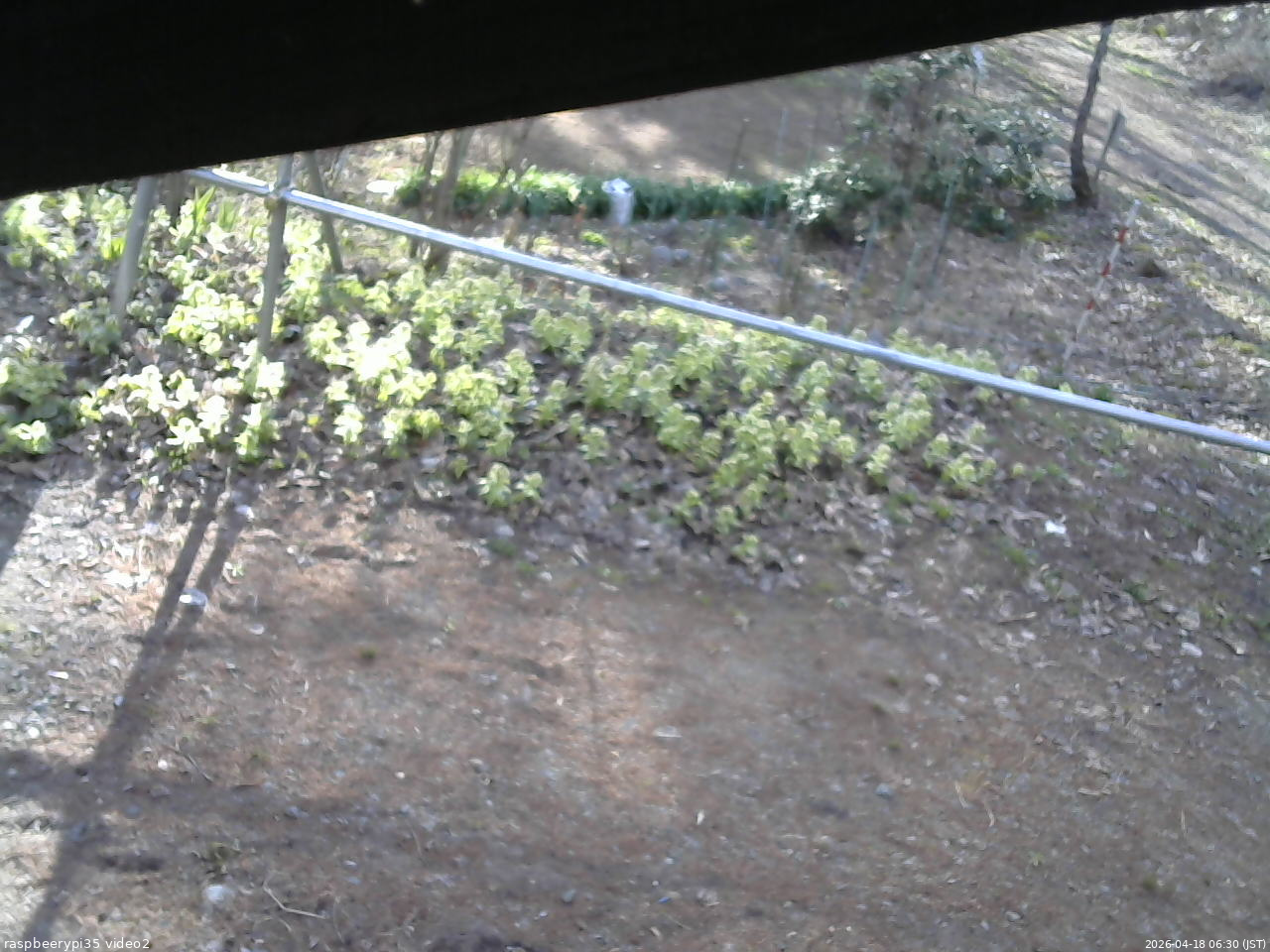 長野県菅平高原 ゆたか山荘 駐車場 2026/04/18 06:30