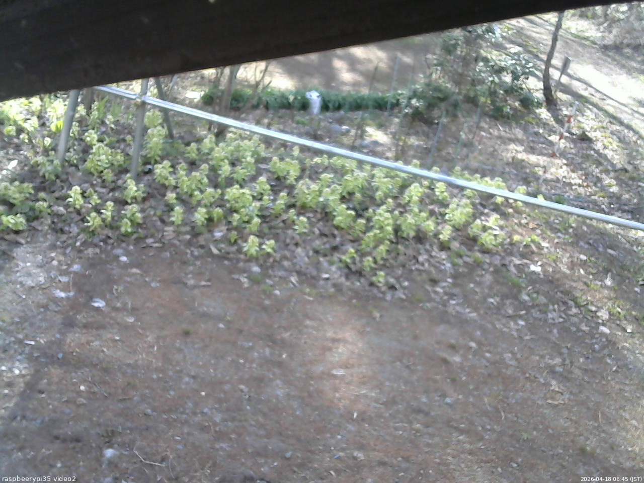 長野県菅平高原 ゆたか山荘 駐車場 2026/04/18 06:45