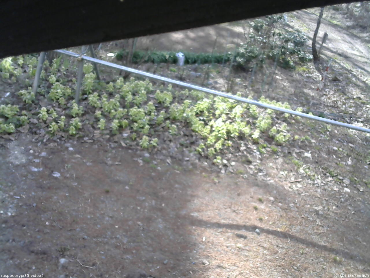 長野県菅平高原 ゆたか山荘 駐車場 2026/04/18 07:00