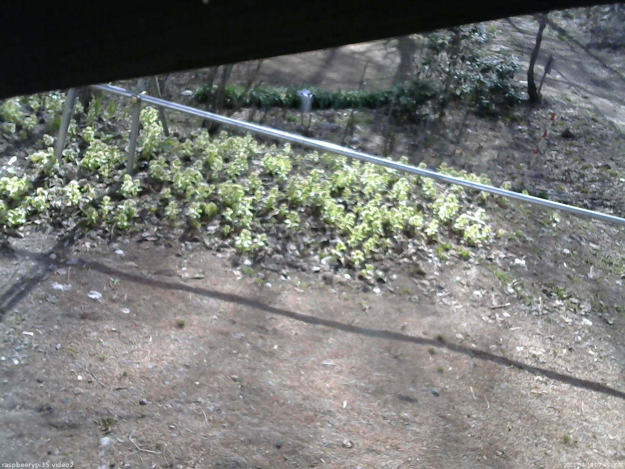 長野県菅平高原 ゆたか山荘 駐車場 2026/04/18 07:45