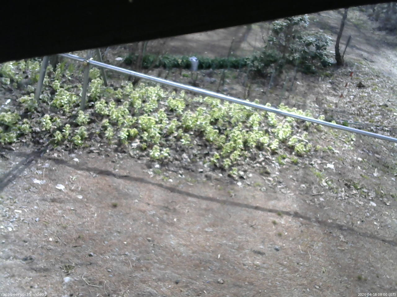 長野県菅平高原 ゆたか山荘 駐車場 2026/04/18 08:00