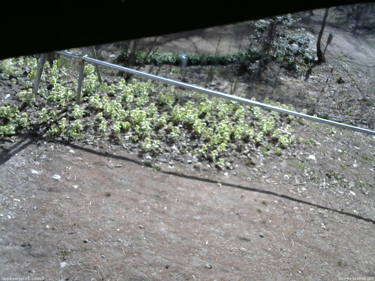 長野県菅平高原 ゆたか山荘 駐車場 2026/04/18 08:30