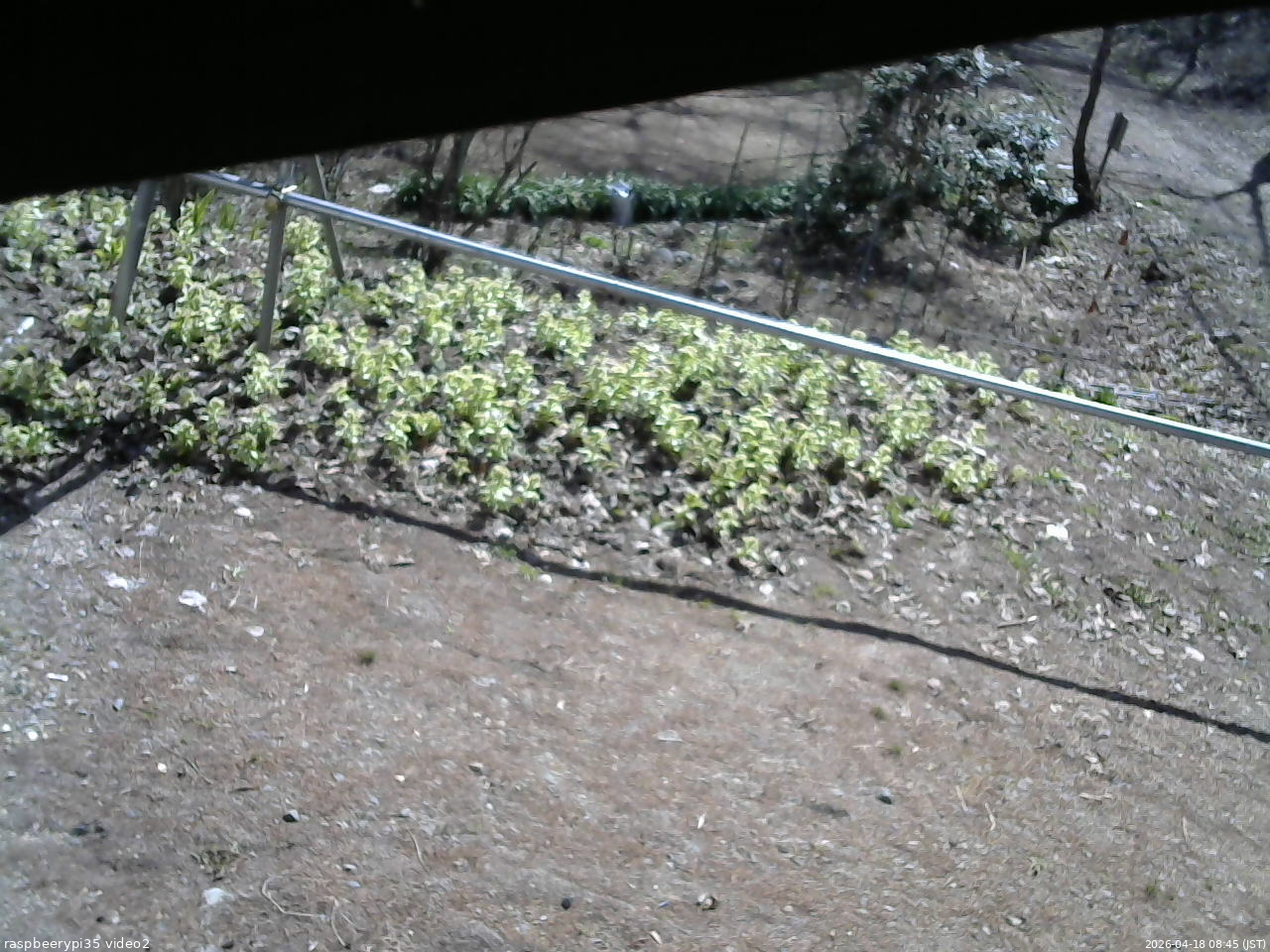長野県菅平高原 ゆたか山荘 駐車場 2026/04/18 08:45