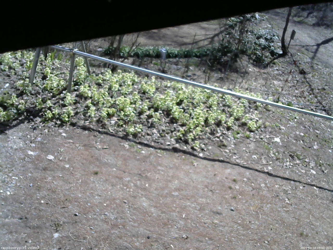 長野県菅平高原 ゆたか山荘 駐車場 2026/04/18 09:00