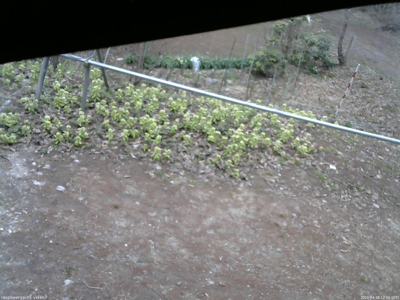 長野県菅平高原 ゆたか山荘 駐車場 2026/04/18 12:15