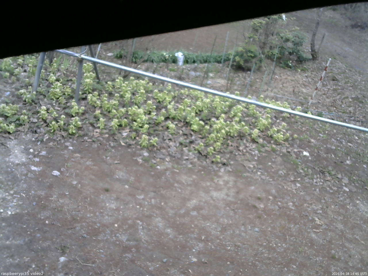 長野県菅平高原 ゆたか山荘 駐車場 2026/04/18 14:45