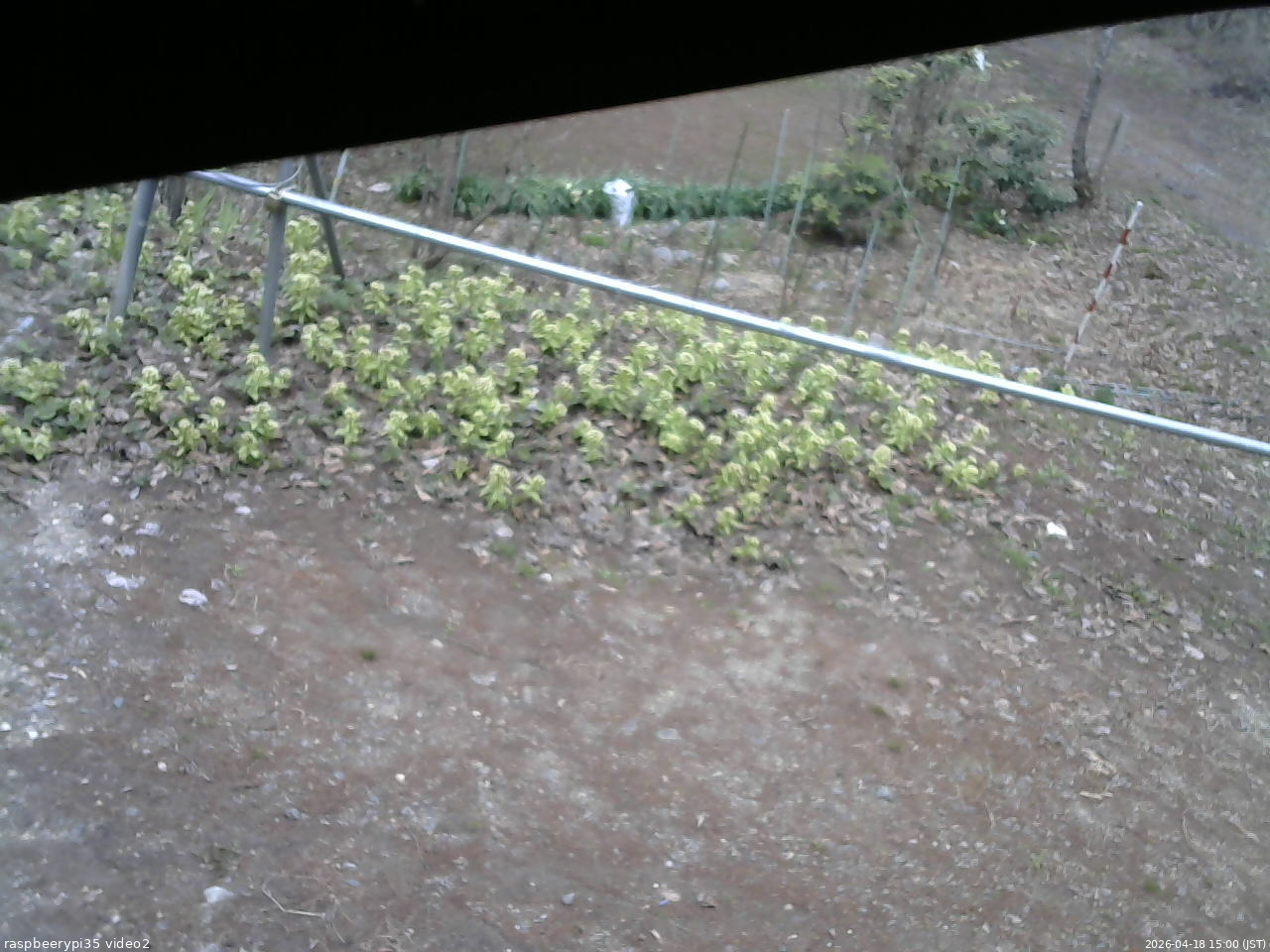 長野県菅平高原 ゆたか山荘 駐車場 2026/04/18 15:00
