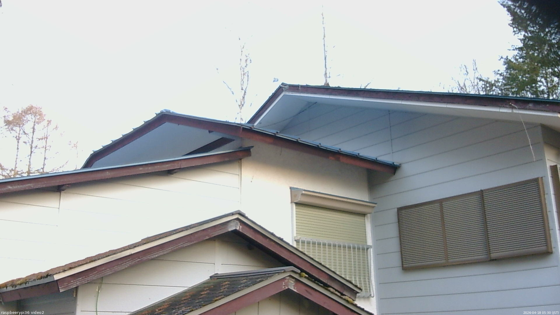 長野県菅平高原 ゆたか山荘 駐車場奥 2026/04/18 05:30