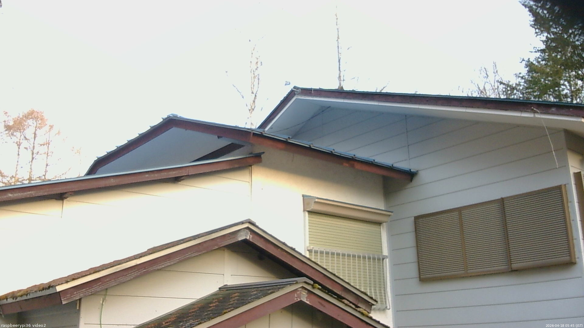 長野県菅平高原 ゆたか山荘 駐車場奥 2026/04/18 05:45