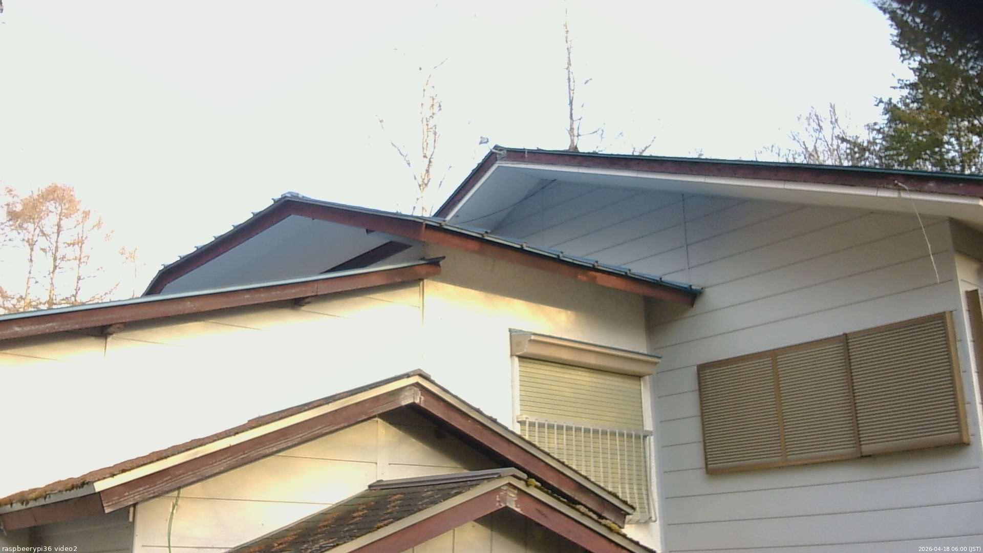 長野県菅平高原 ゆたか山荘 駐車場奥 2026/04/18 06:00