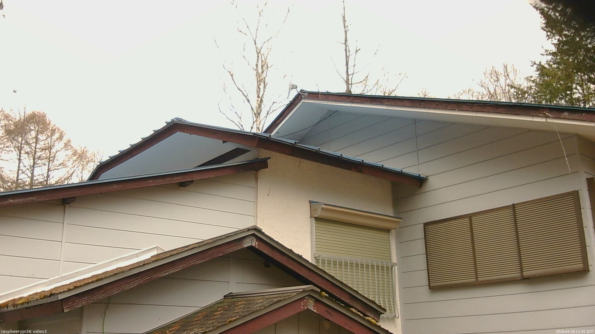 長野県菅平高原 ゆたか山荘 駐車場奥 2026/04/18 11:45