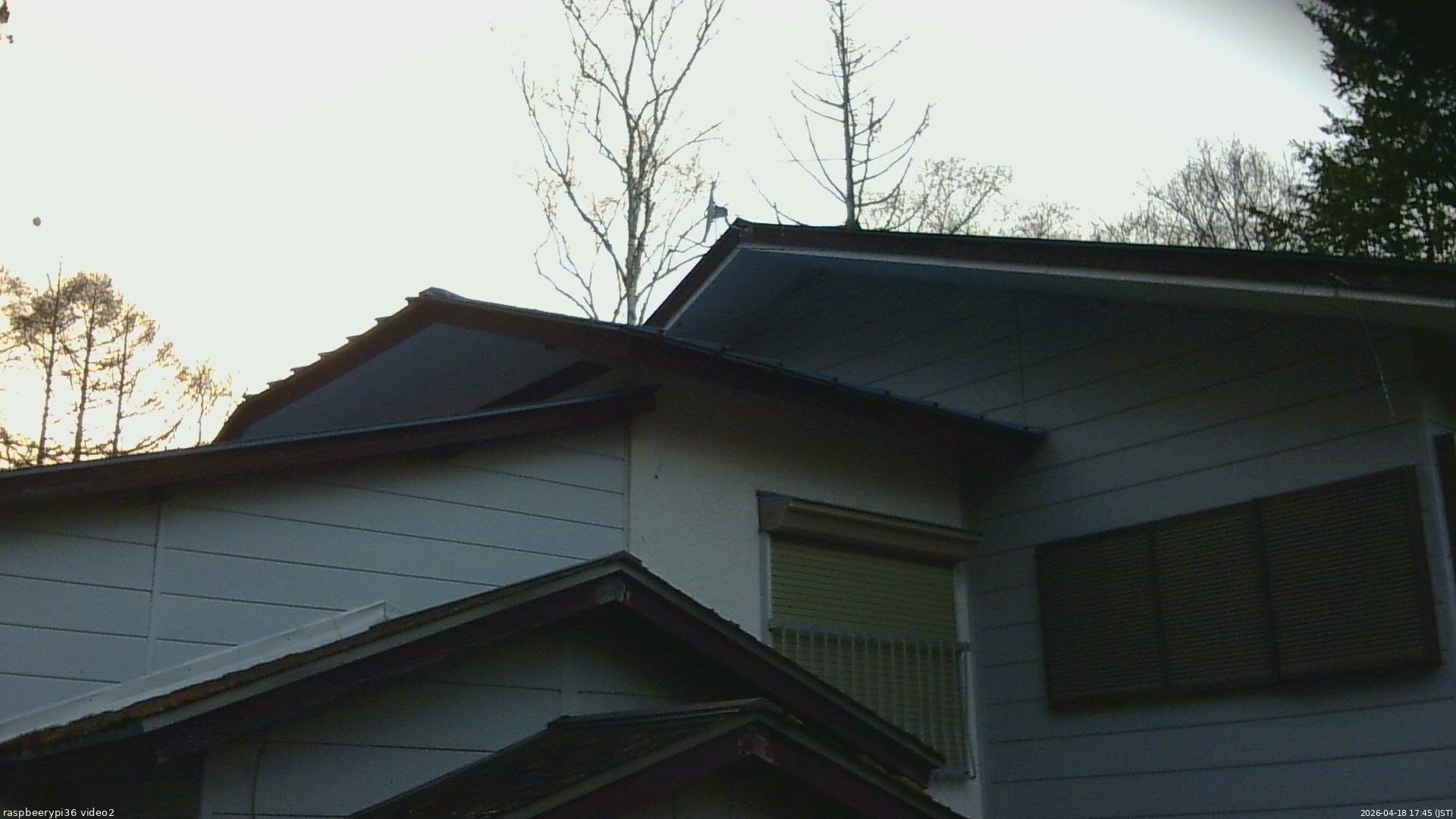 長野県菅平高原 ゆたか山荘 駐車場奥 2026/04/18 17:45