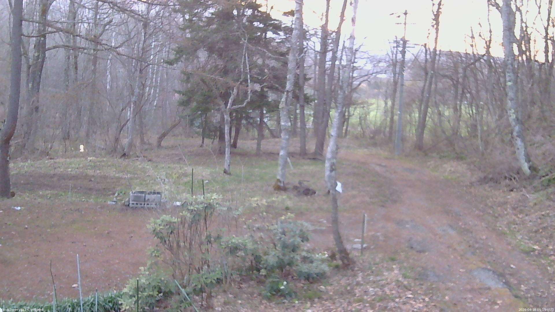 長野県菅平高原 ゆたか山荘 坂上 2026/04/18 05:15
