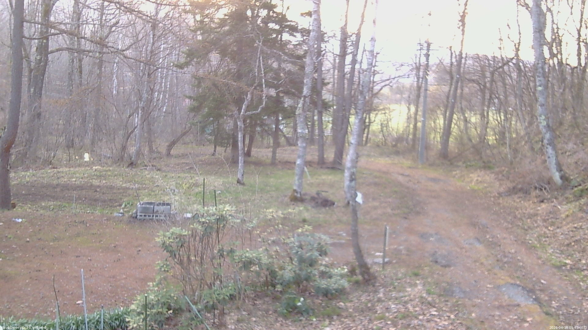 長野県菅平高原 ゆたか山荘 坂上 2026/04/18 05:45