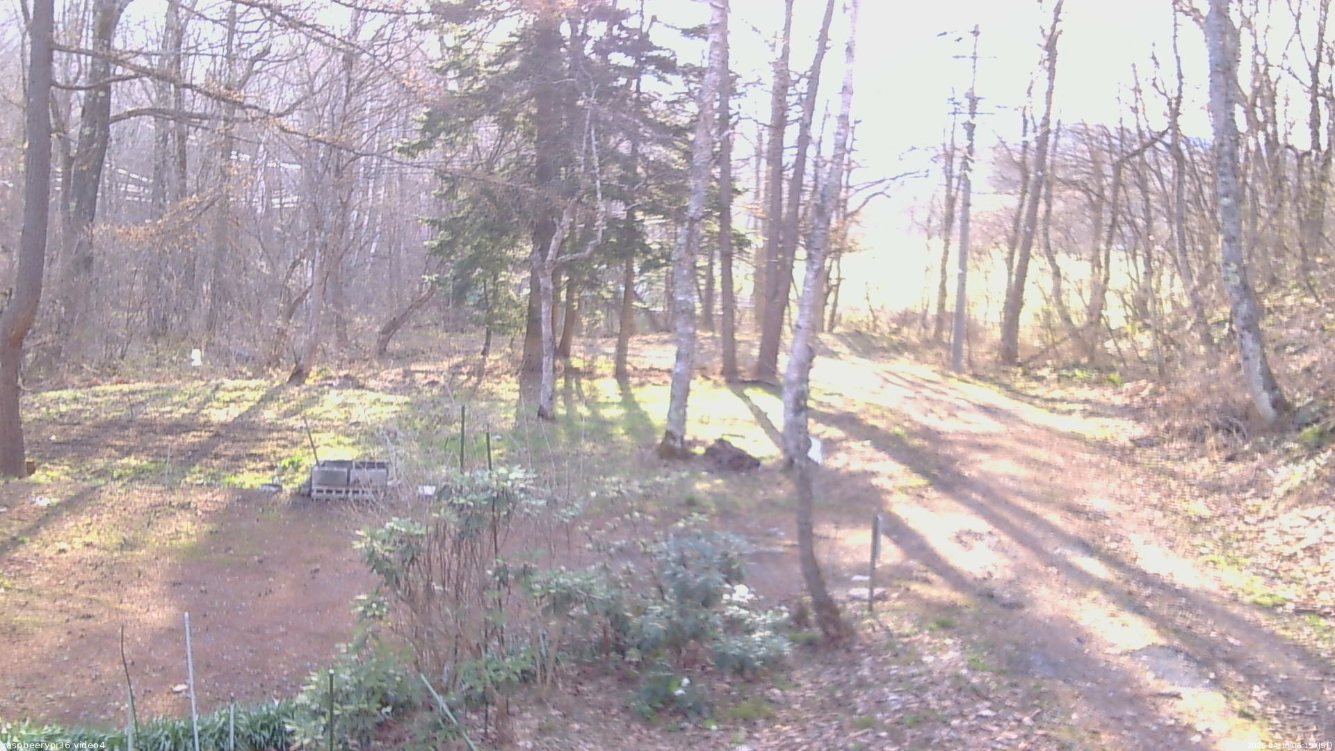 長野県菅平高原 ゆたか山荘 坂上 2026/04/18 06:15
