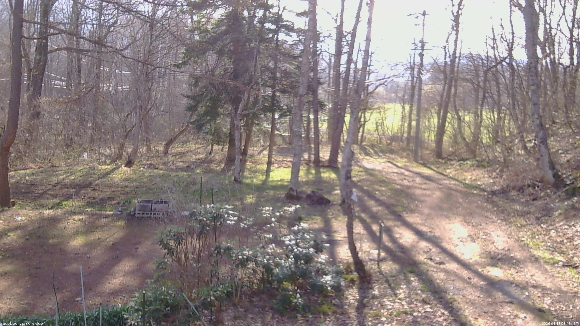 長野県菅平高原 ゆたか山荘 坂上 2026/04/18 06:45