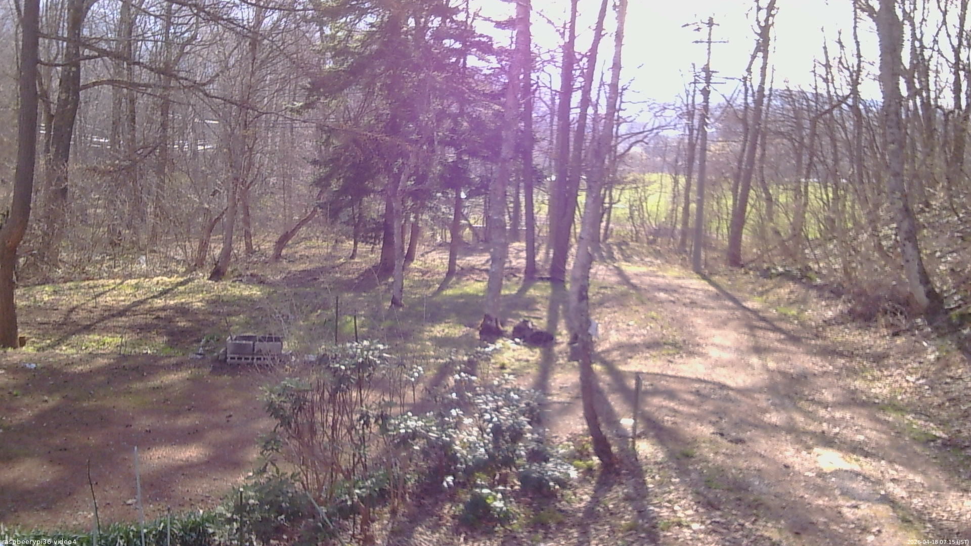 長野県菅平高原 ゆたか山荘 坂上 2026/04/18 07:15