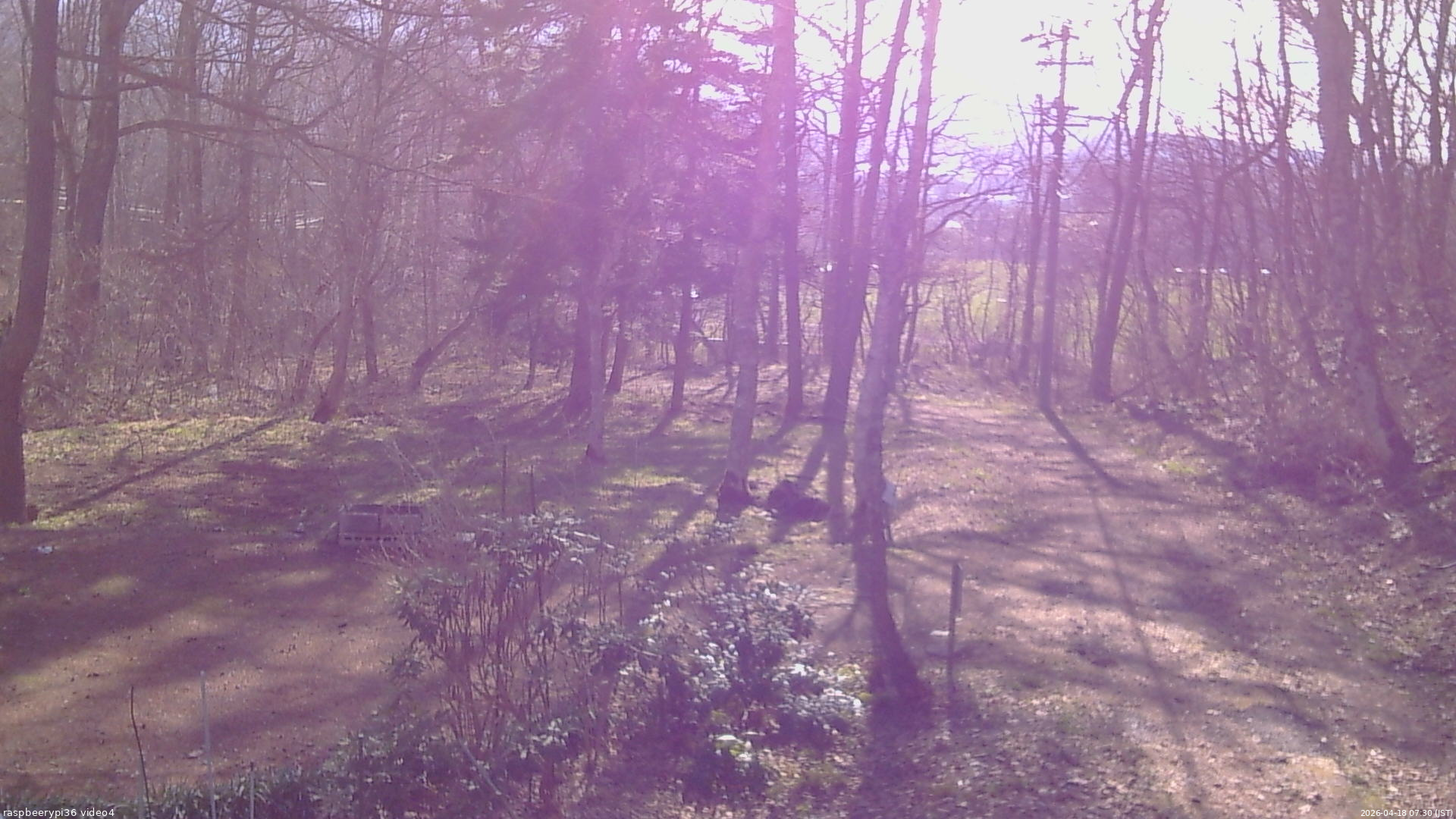 長野県菅平高原 ゆたか山荘 坂上 2026/04/18 07:30