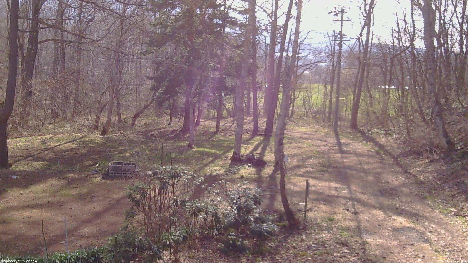 長野県菅平高原 ゆたか山荘 坂上 2026/04/18 07:45