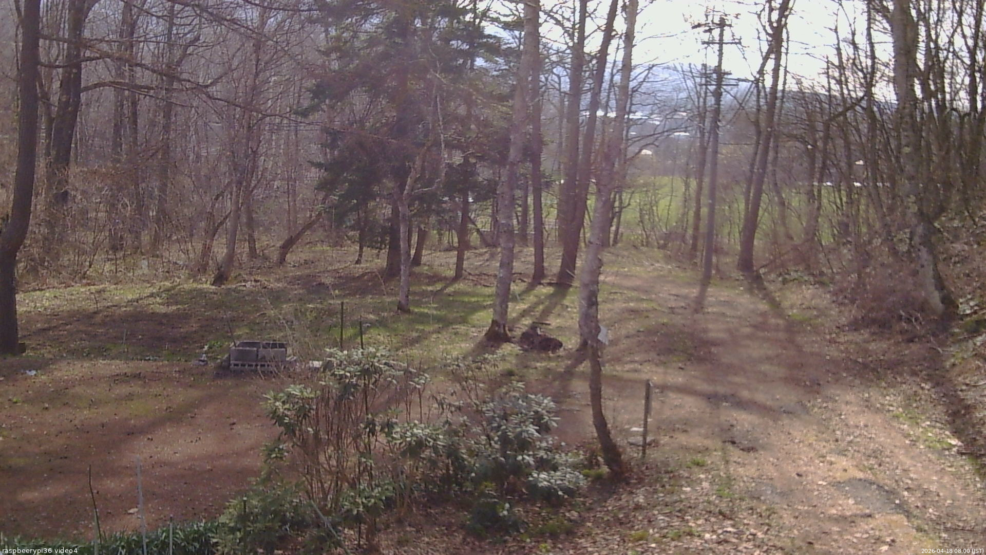 長野県菅平高原 ゆたか山荘 坂上 2026/04/18 08:00