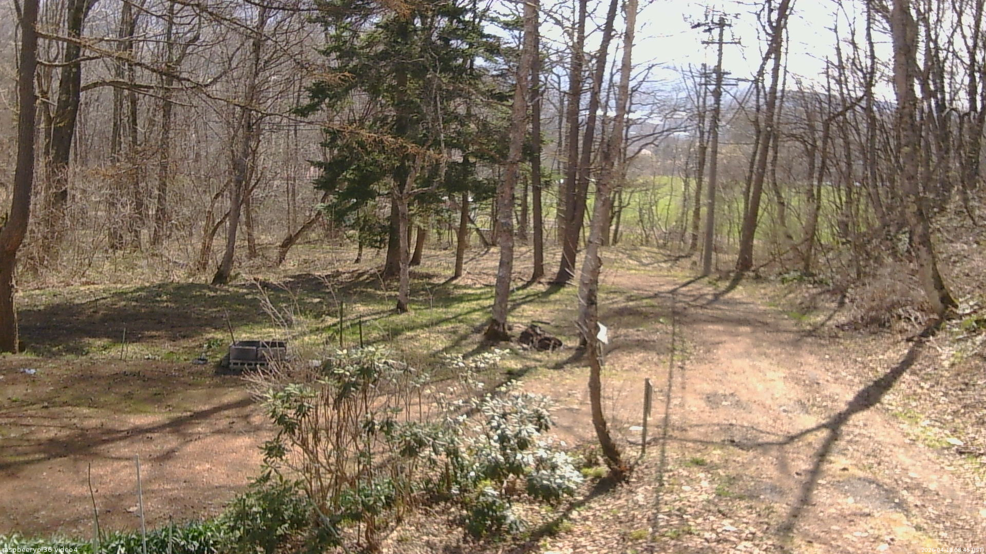 長野県菅平高原 ゆたか山荘 坂上 2026/04/18 08:45