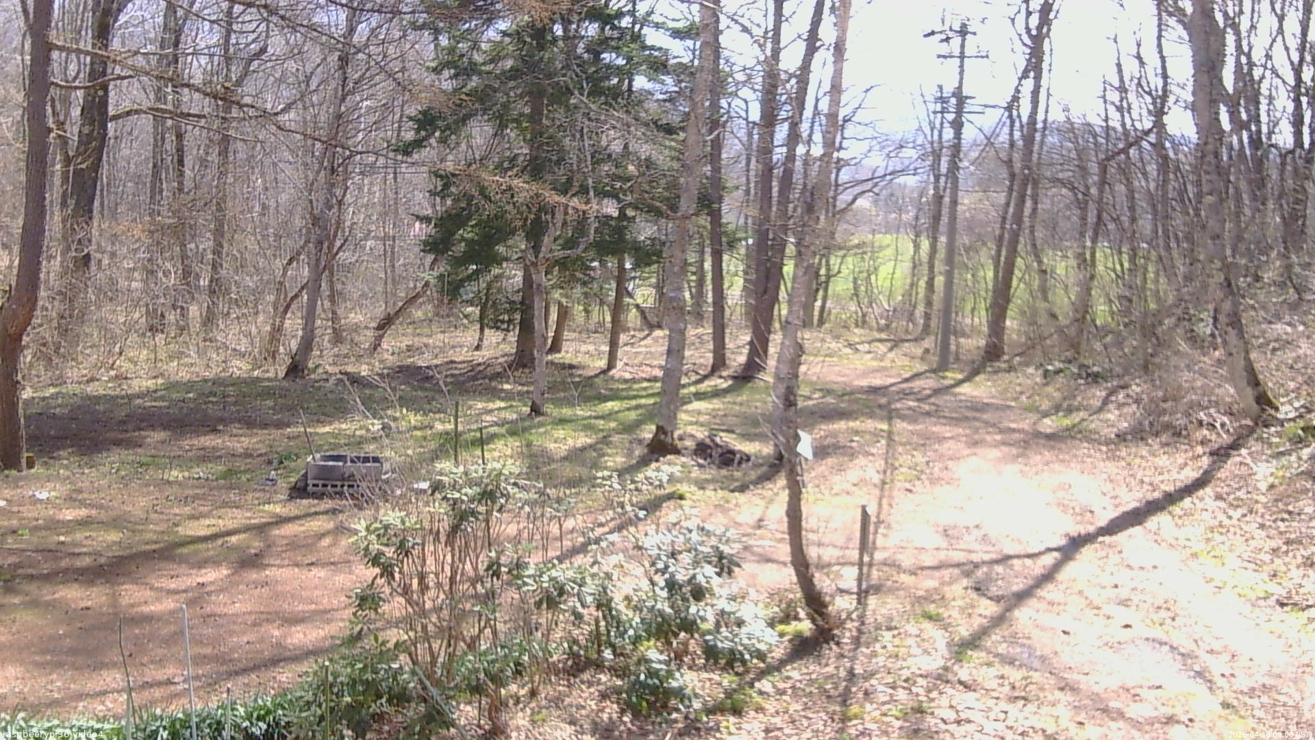 長野県菅平高原 ゆたか山荘 坂上 2026/04/18 09:00