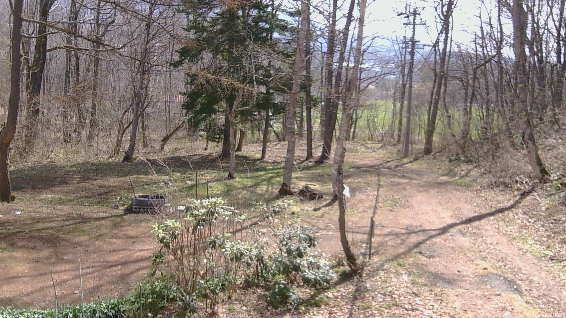 長野県菅平高原 ゆたか山荘 坂上 2026/04/18 09:15