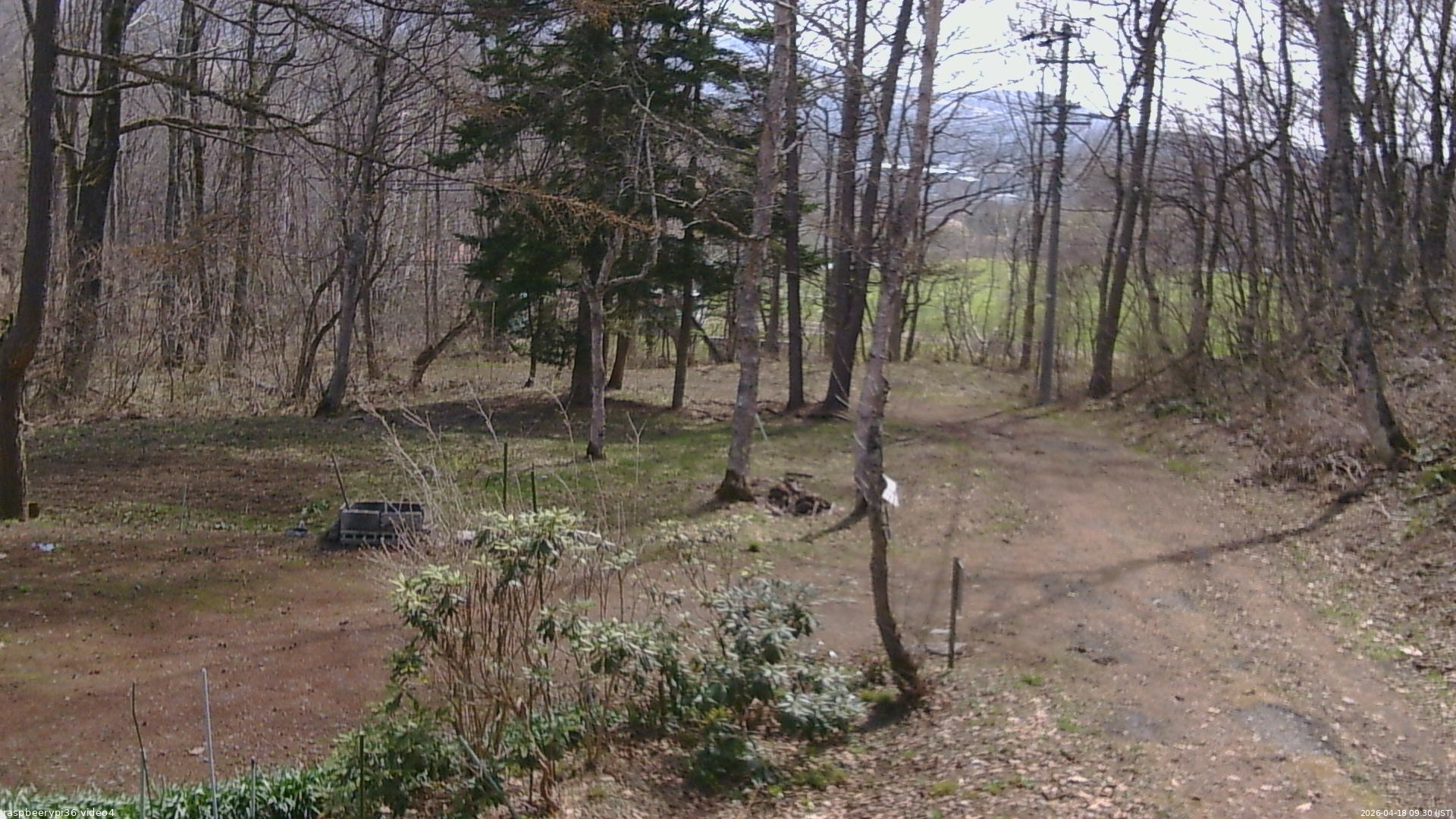 長野県菅平高原 ゆたか山荘 坂上 2026/04/18 09:30