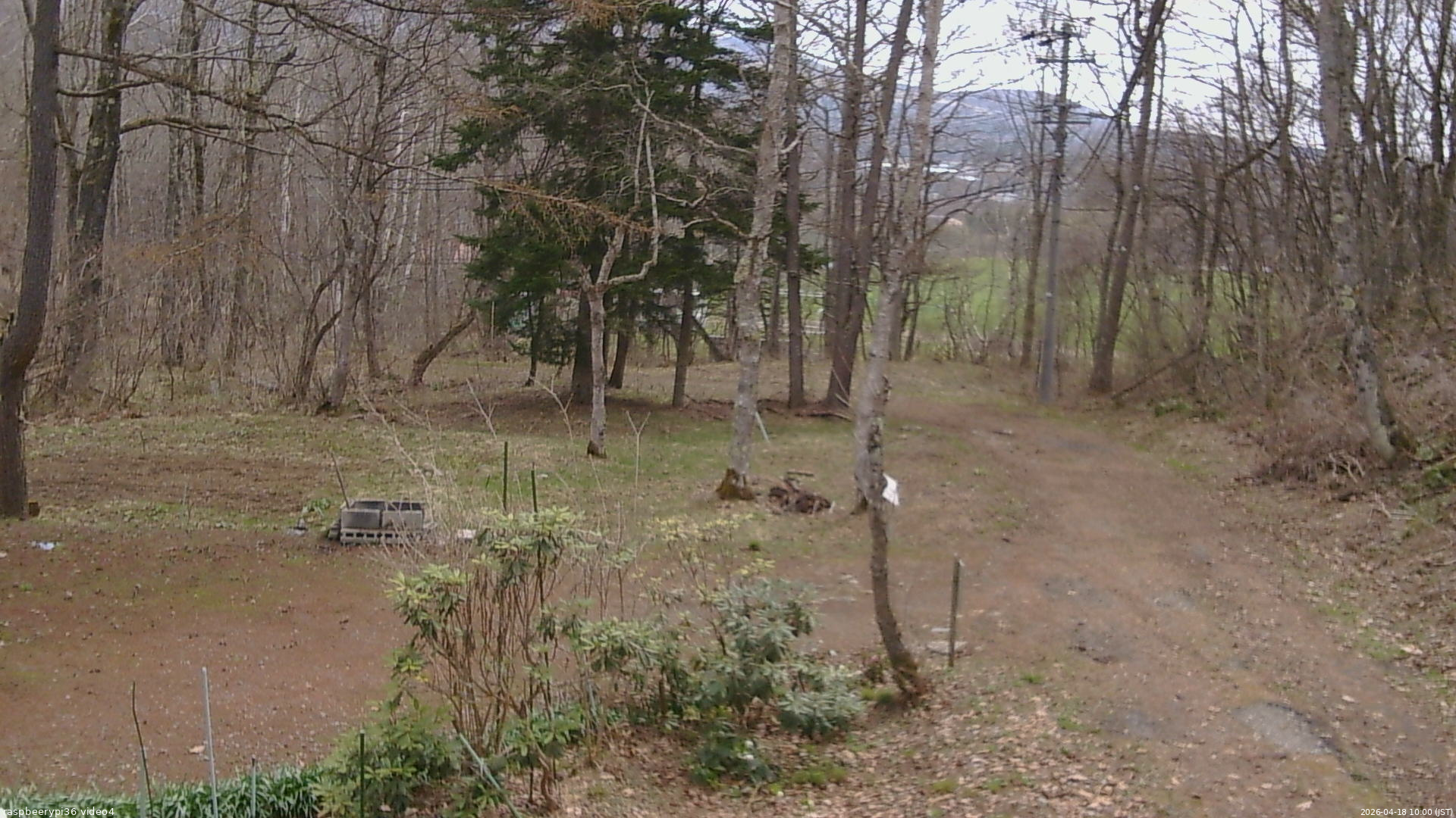 長野県菅平高原 ゆたか山荘 坂上 2026/04/18 10:00