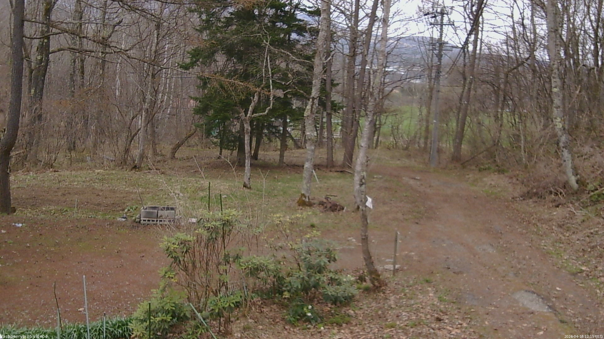 長野県菅平高原 ゆたか山荘 坂上 2026/04/18 12:15
