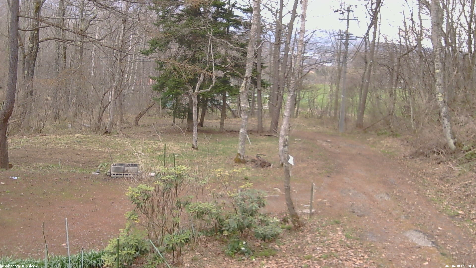 長野県菅平高原 ゆたか山荘 坂上 2026/04/18 12:30